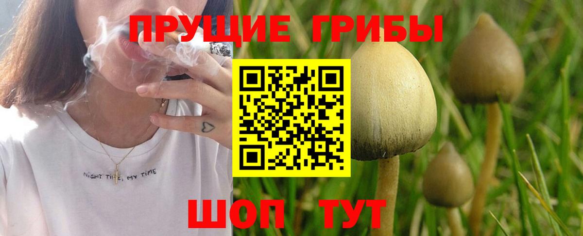Галлюциногенные грибы Magic Shrooms  Вход с VPN  Дзержинский  Псилоцибиновые грибы Psilocybine cubensis 