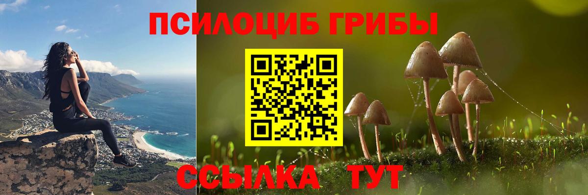 Псилоцибиновые грибы прущие грибы Дзержинский